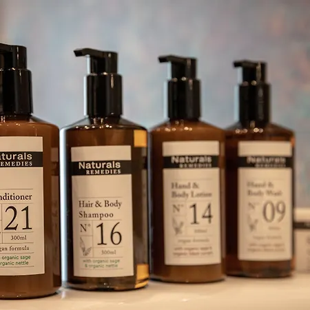 Hotel Indigo - Wettiner Platz By Ihg